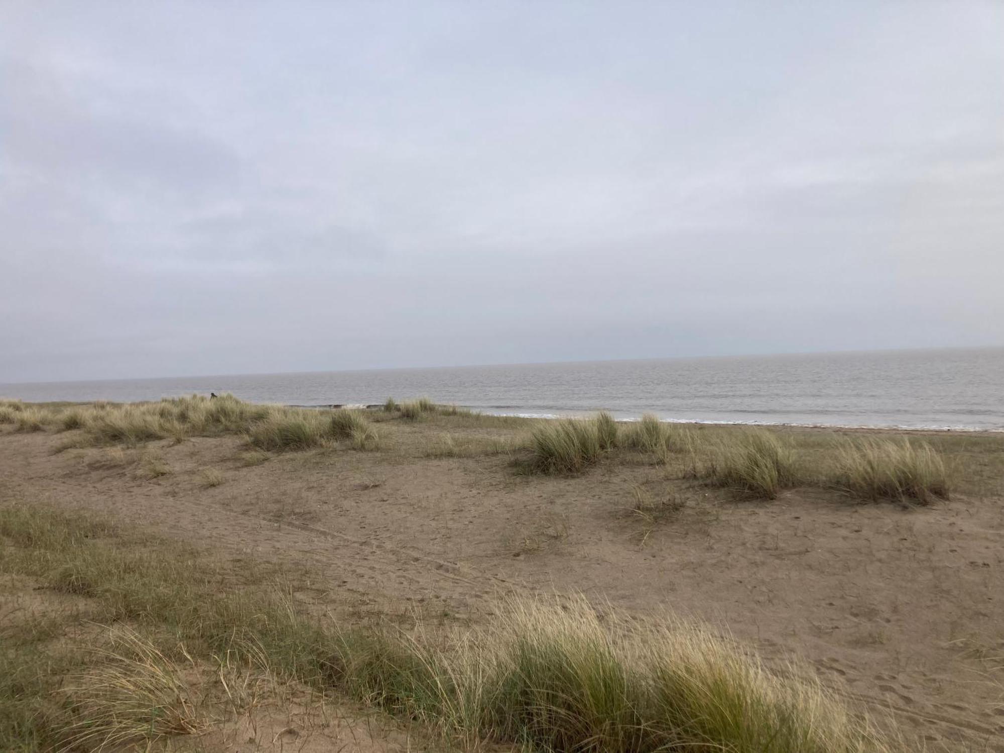 Pet Friendly Holiday Home On Golden Palm Skegness Exterior photo